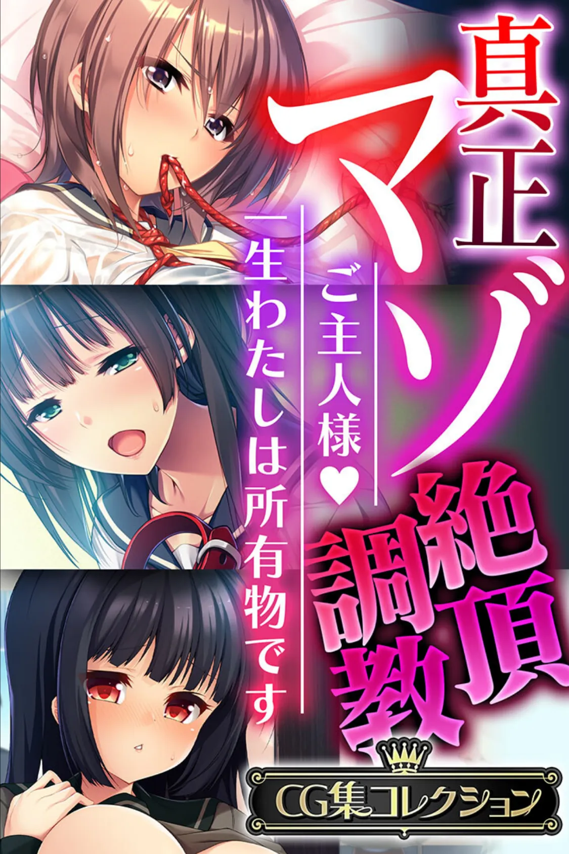 真正マゾ絶頂調教 〜ご主人様 一生わたしは所有物です〜【CG集コレクション】 1ページ