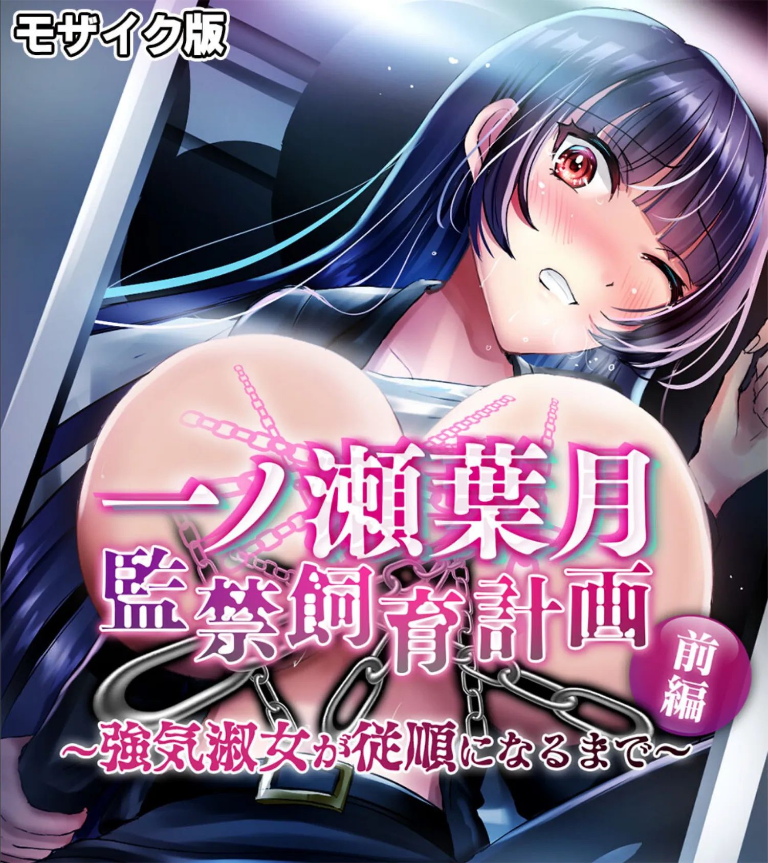 一ノ瀬葉月 監禁飼育計画 〜強気淑女が従順になるまで〜 総集編 モザイク版 3ページ