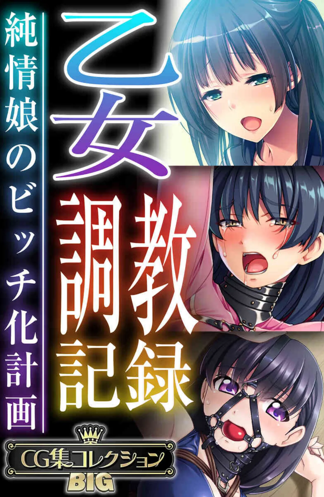 乙女調教記録〜純情娘のビッチ化計画〜【CG集コレクションBIG】 1ページ