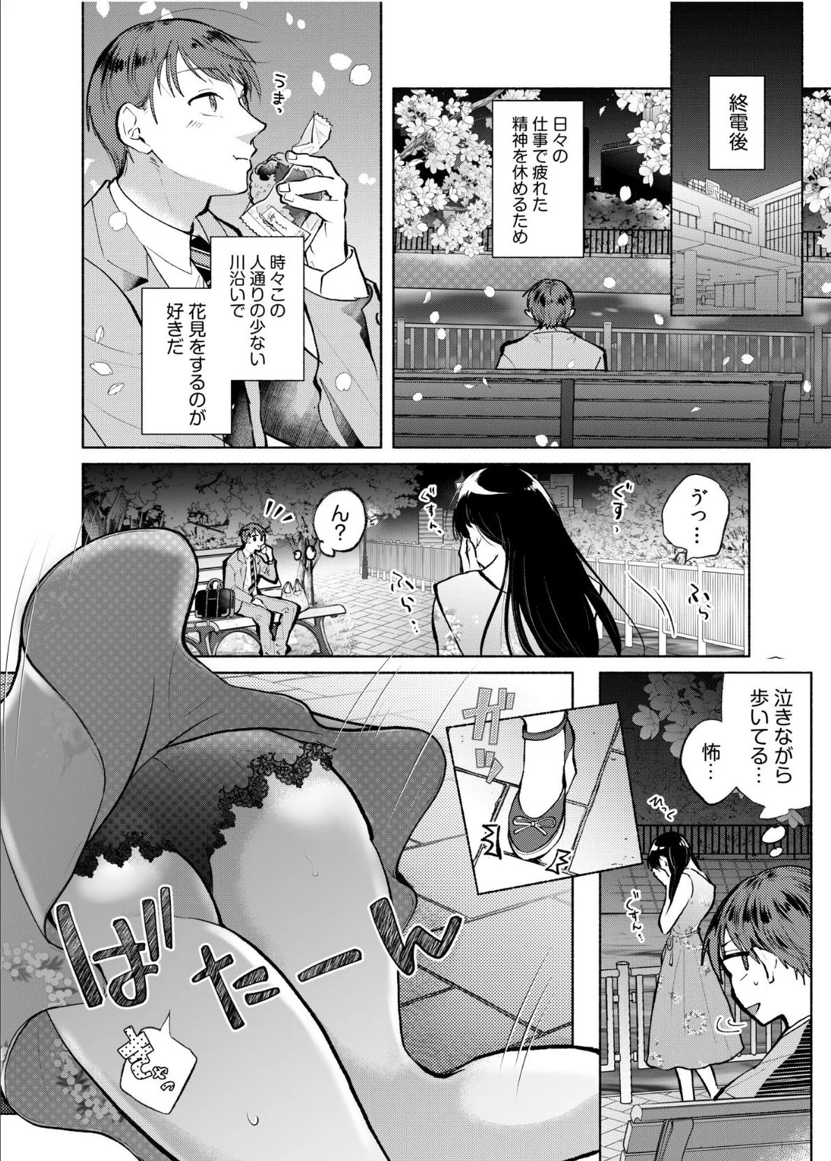 夜桜の夢失恋ヤケ酒なぐさめセックス 3ページ